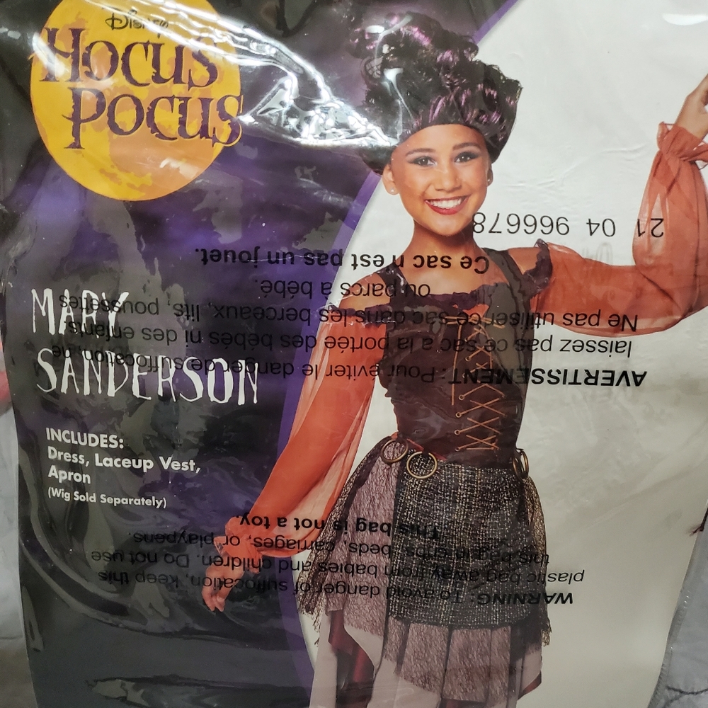 COPY - Hocus Pocus Mary Sanderson